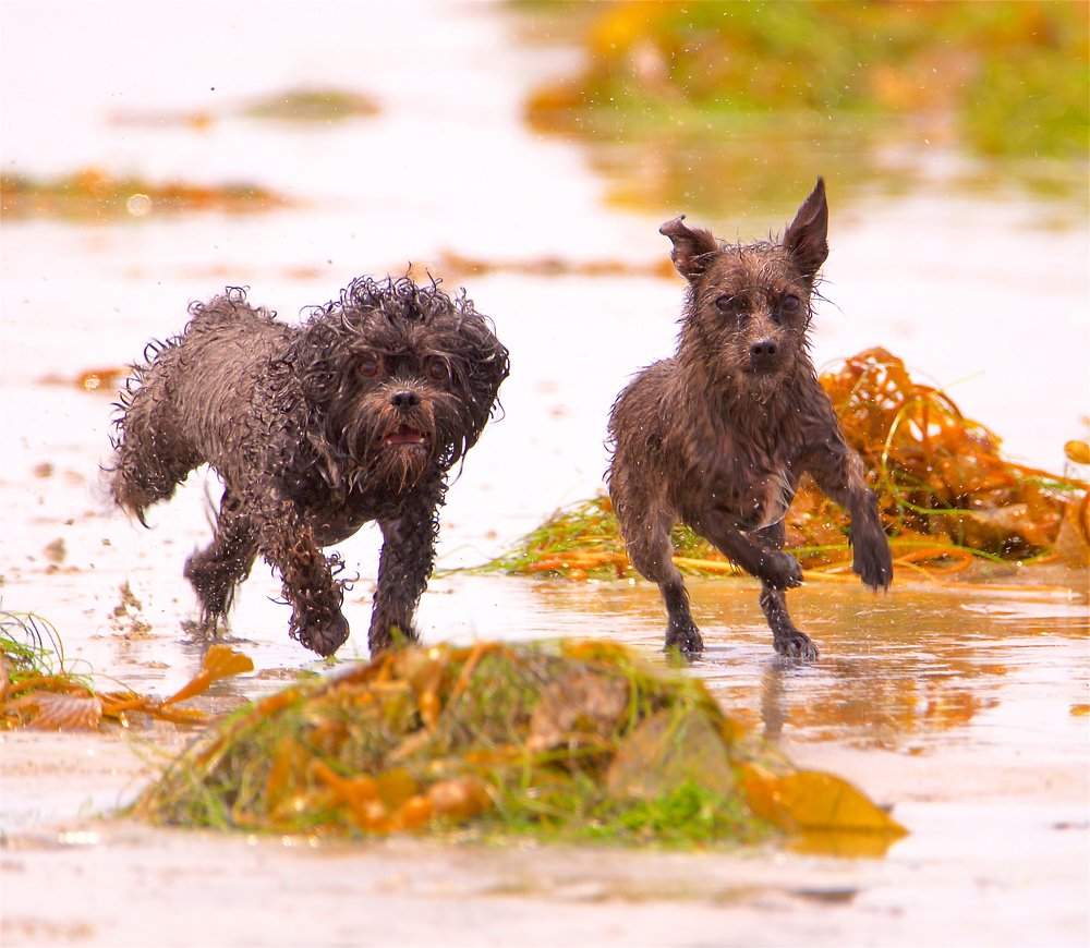 Photograph by Jonathan Lavan