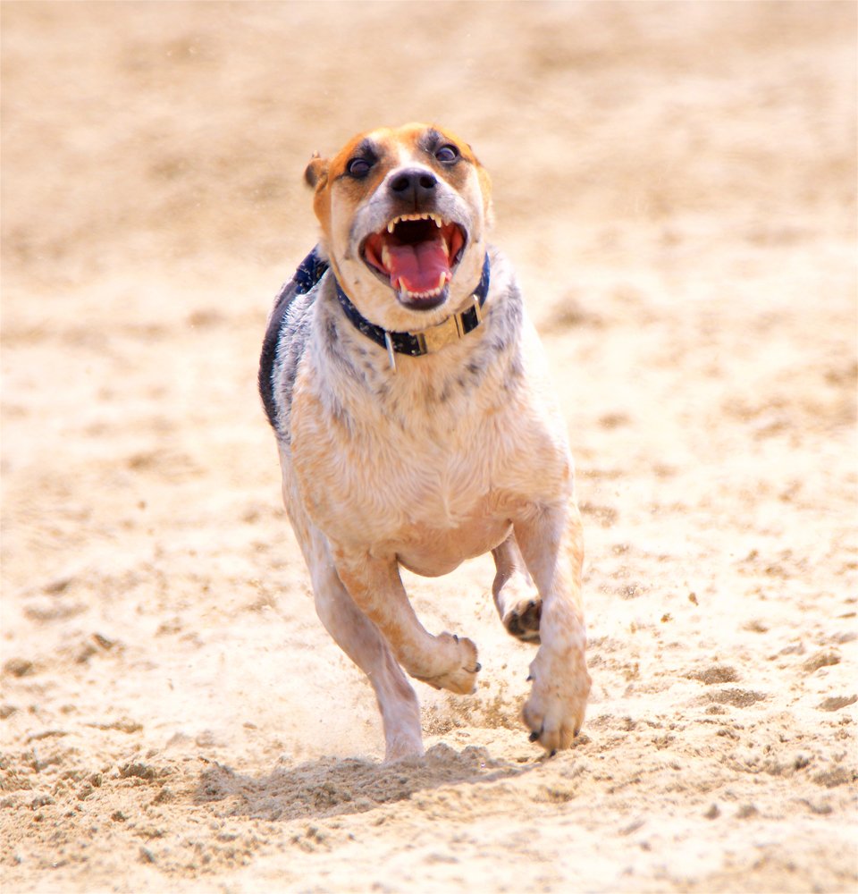 Photograph by Jonathan Lavan