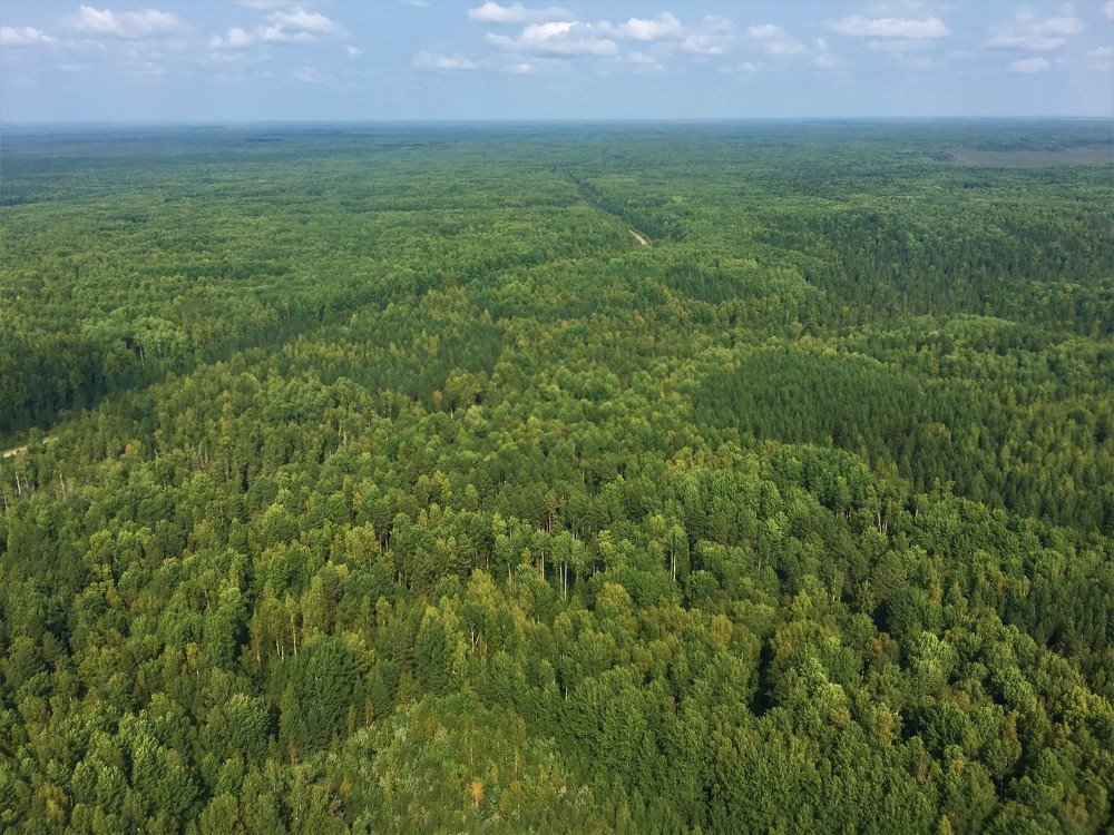 Photograph by Альфия Гумовская