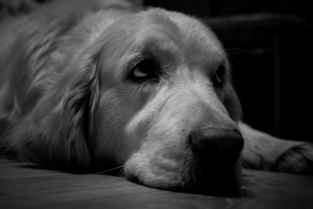 Photograph by Илья Десна