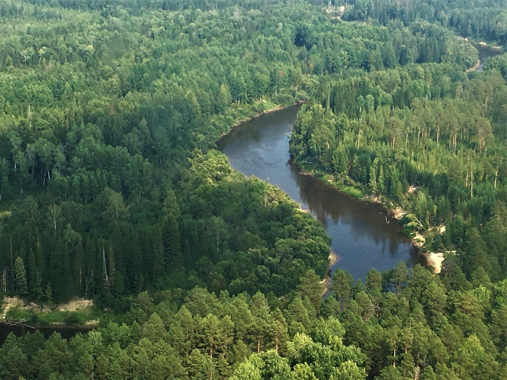 Photograph by Альфия Гумовская