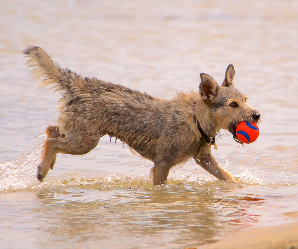 Photograph by Jonathan Lavan