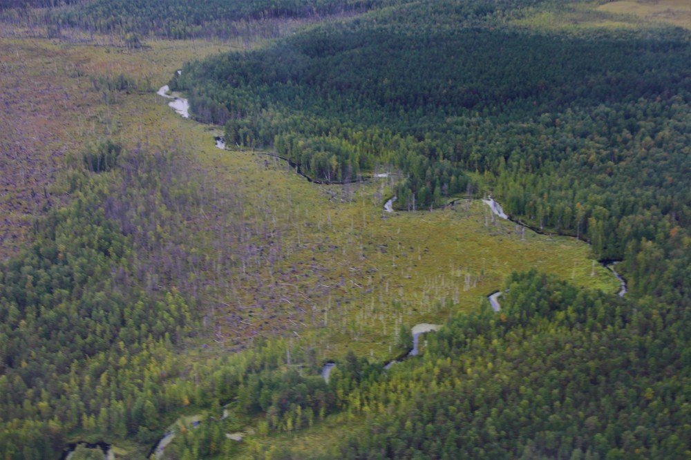 Photograph by Альфия Гумовская