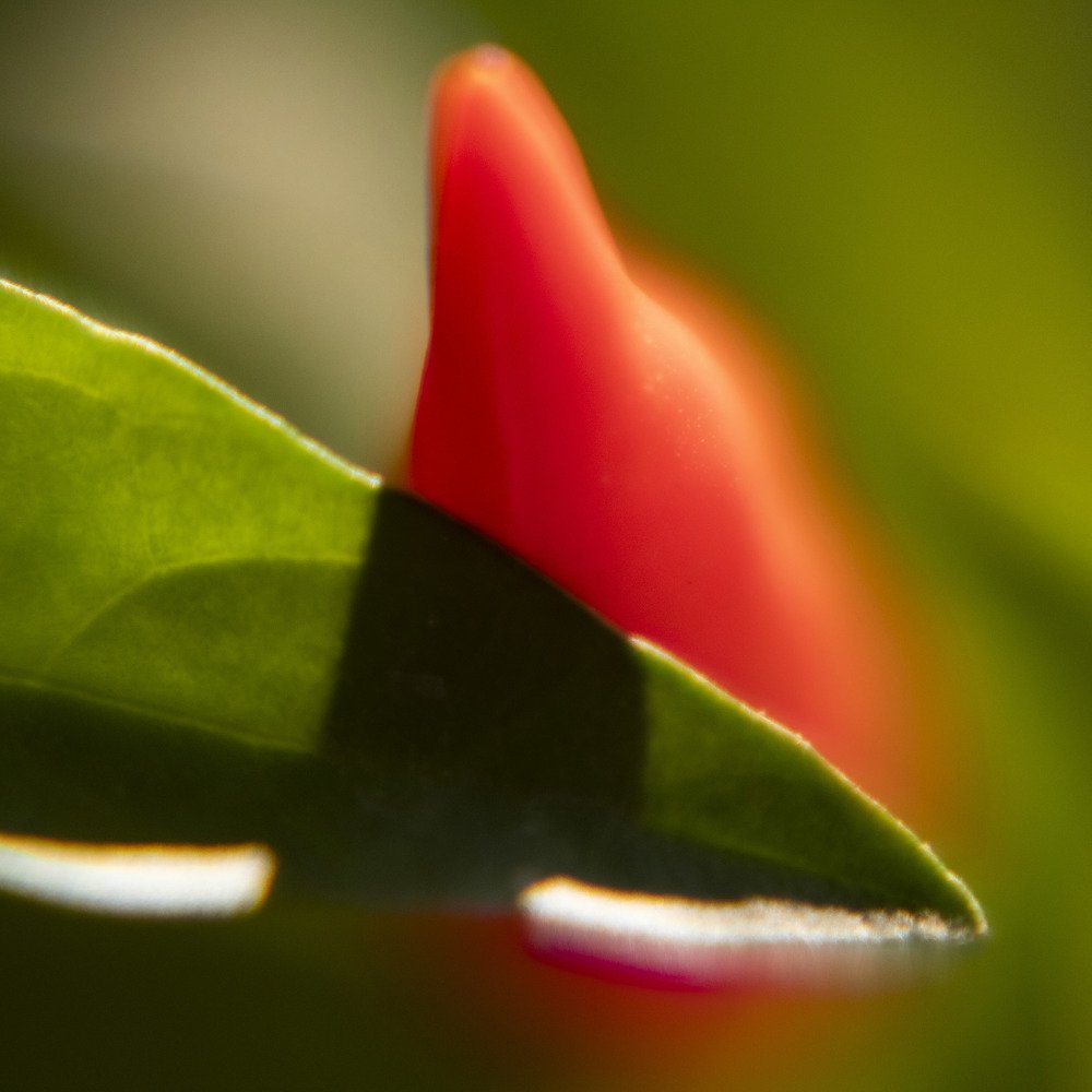 Photograph by Kondylenia Mpousmpoura