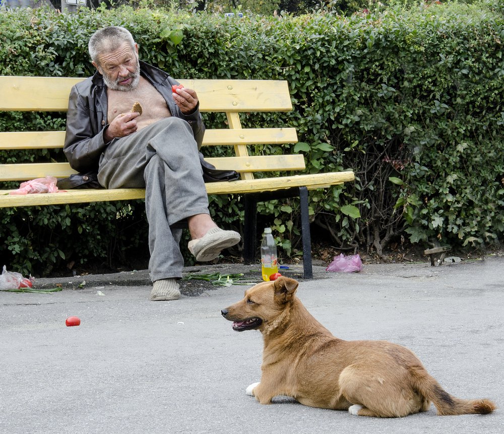 Помидор будешь?