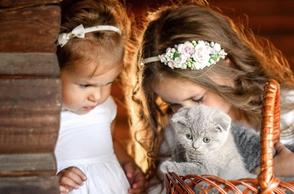 Photograph by Татьяна Теряева