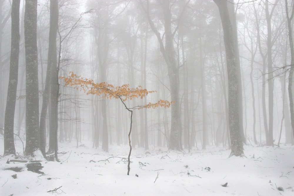 Легко ли быть молодым?