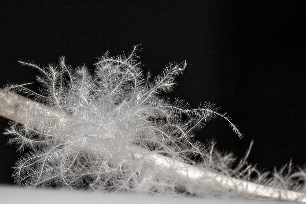 Photograph by Kondylenia Mpousmpoura