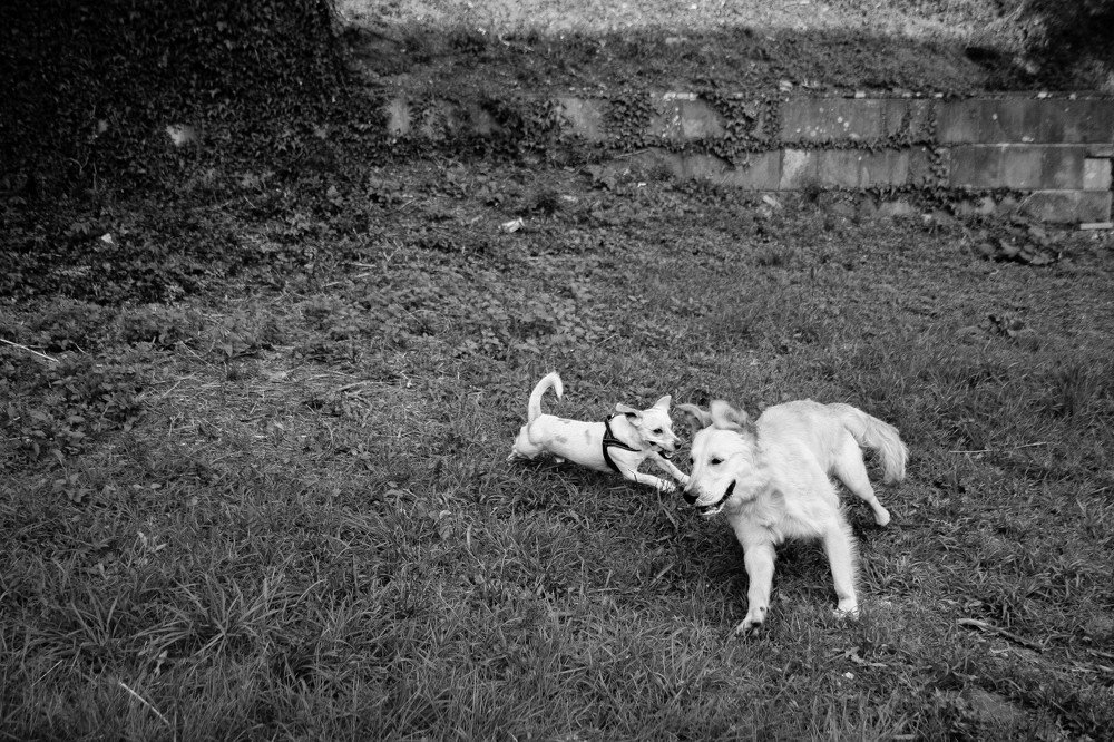 Фотография автора Ivelina Petkova