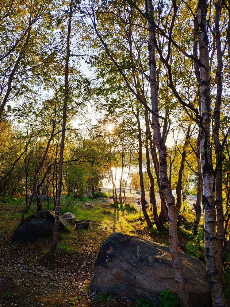 Золотая осень в Заполярье