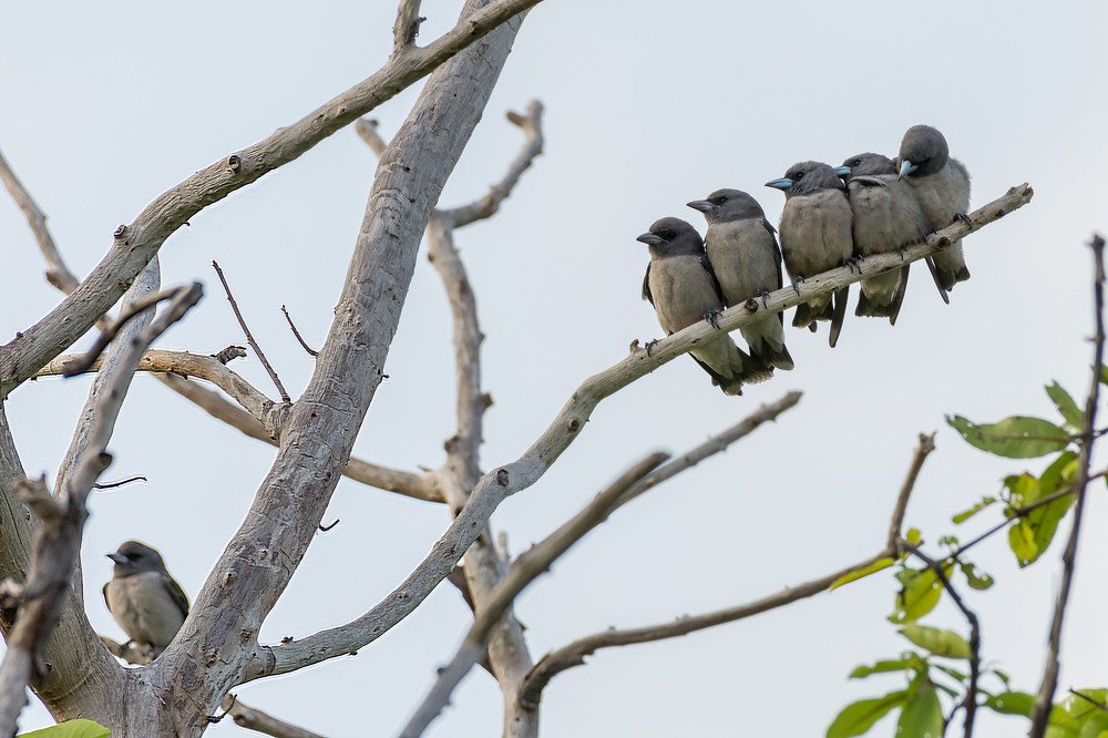 Photograph by Dasun Wasala