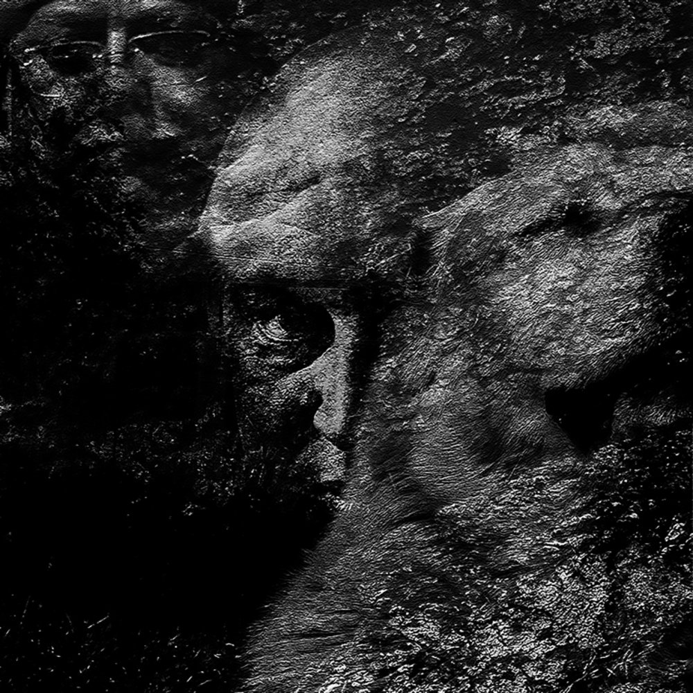 сон в лунную ночь