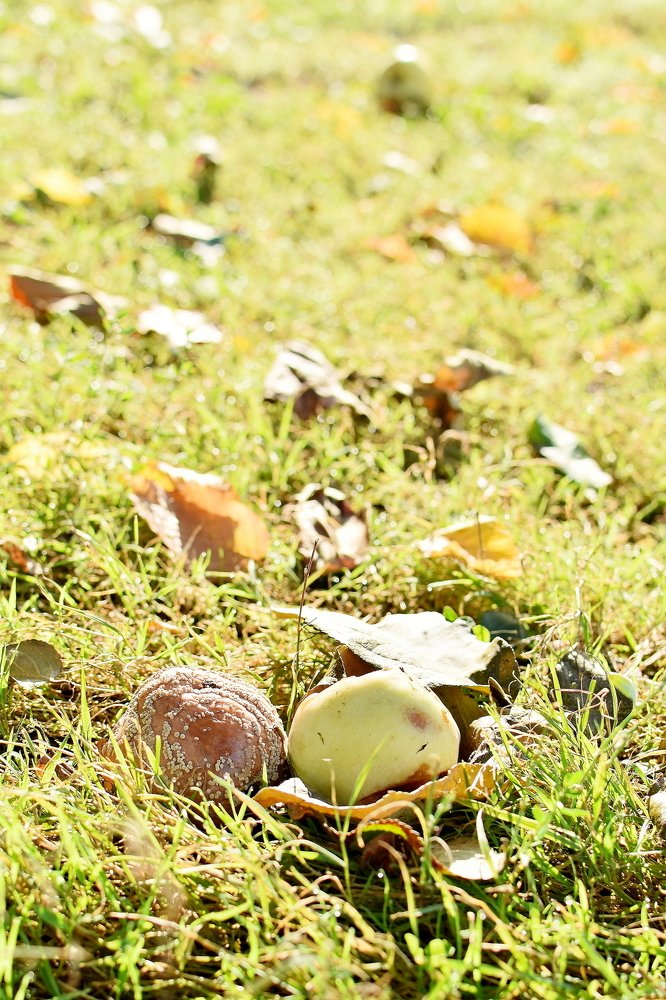 Photograph by Alexey Smal