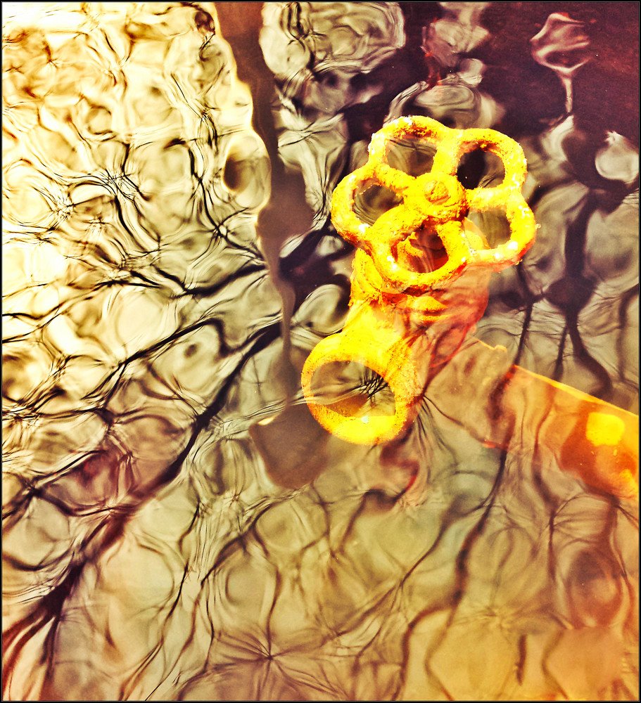 Photograph by Irina Magdalena Bivolaru