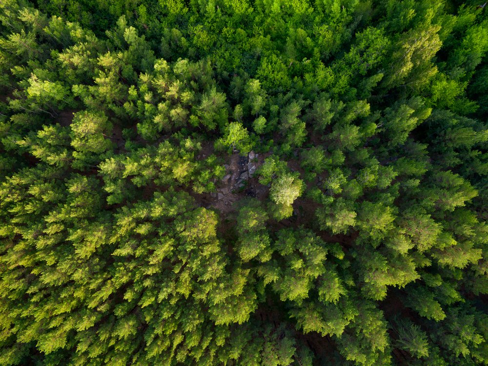 Photograph by Евгений Гецев