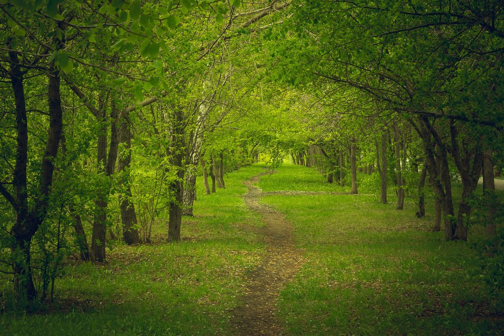 Photograph by Евгений Гецев