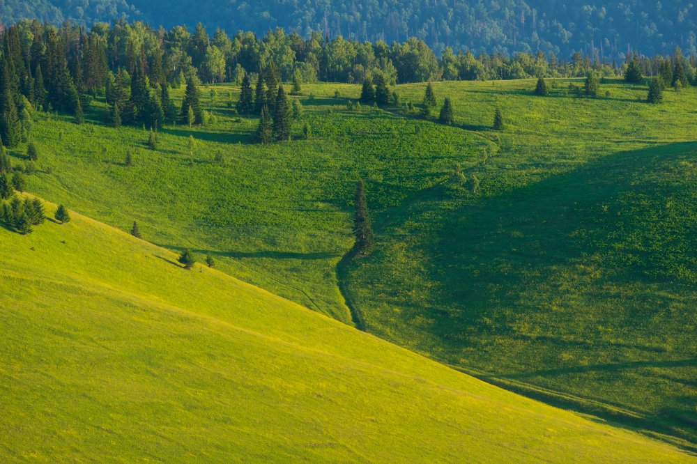 Photograph by Евгений Гецев