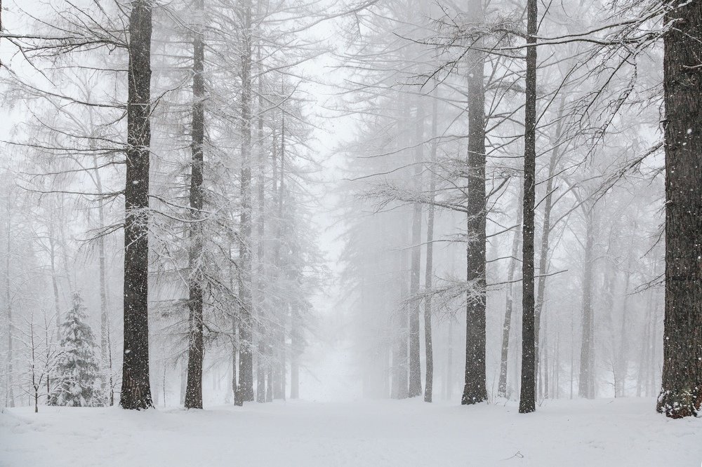 Снегопад в Середниково