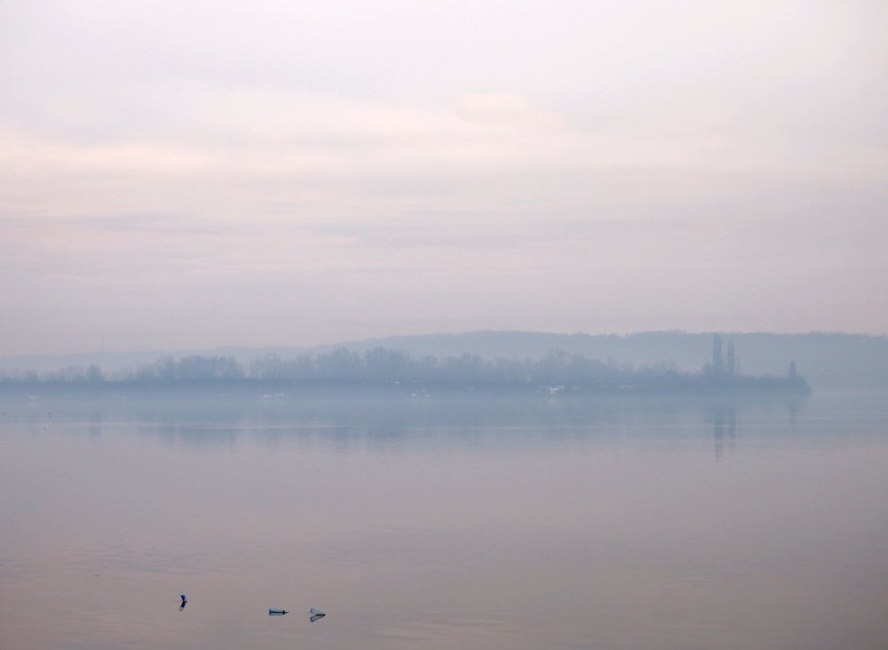 Photograph by Irina Magdalena Bivolaru