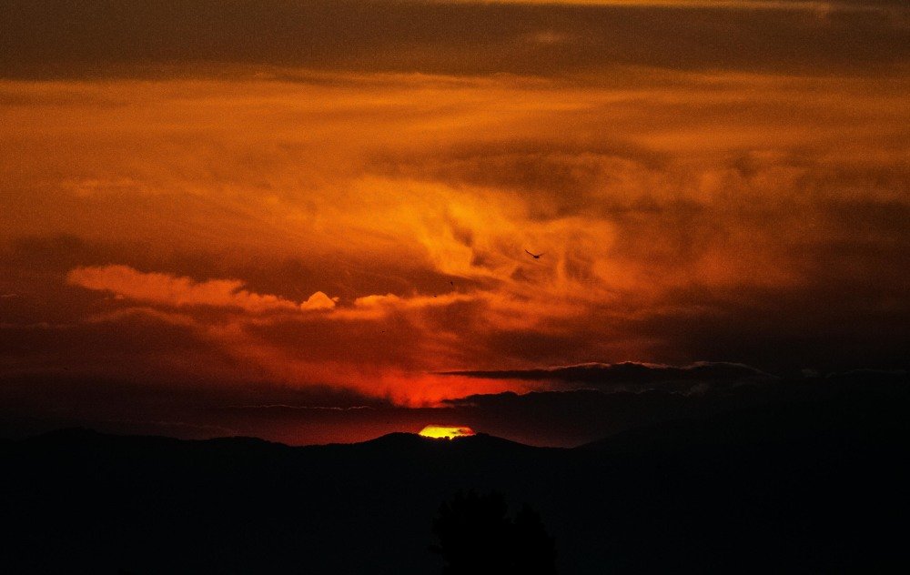 Фотография автора Ivelina Petkova