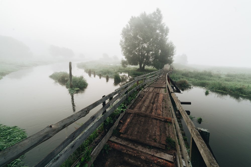 Туман в Филипповском