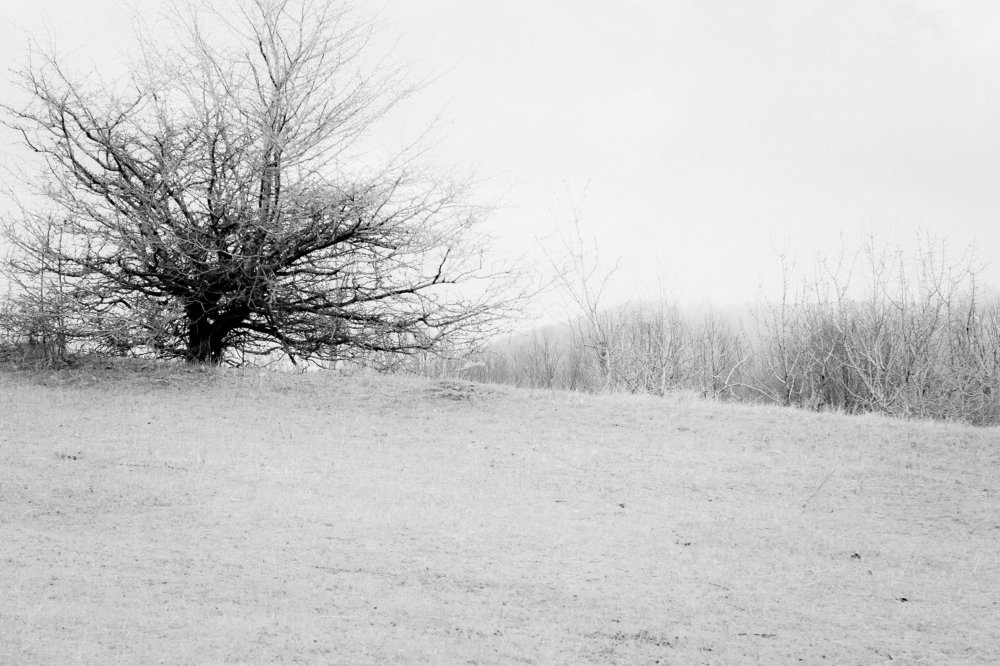 Photograph by Irina Magdalena Bivolaru