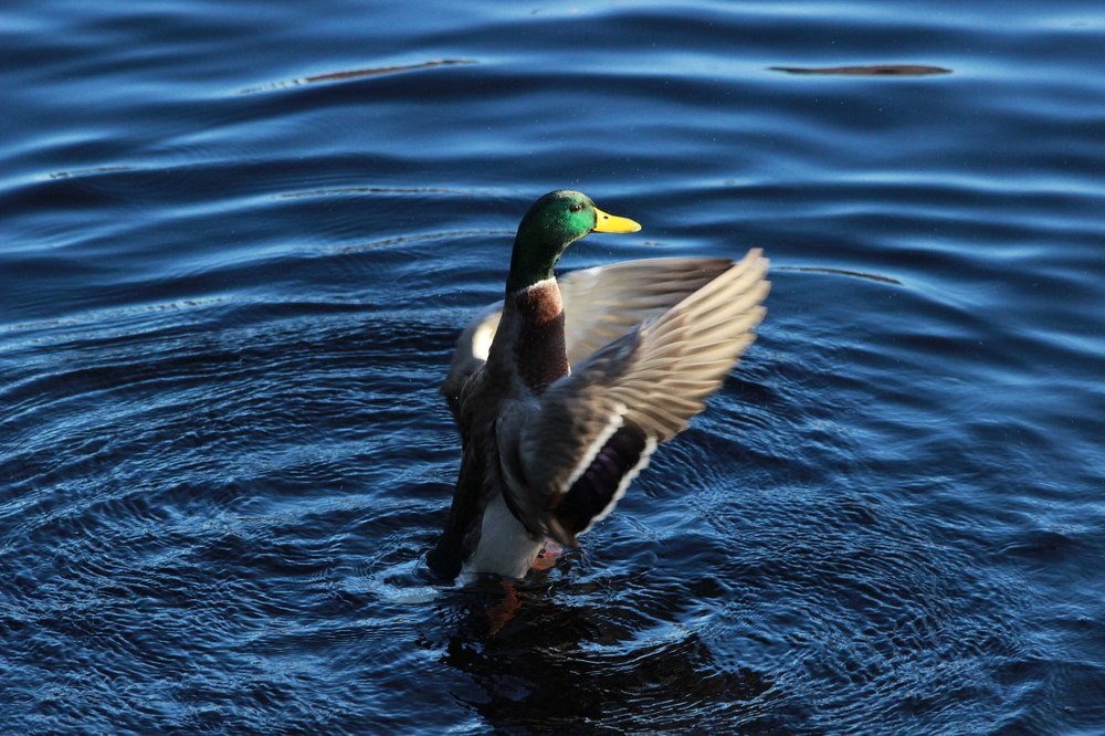 Photograph by Флорис Закреев