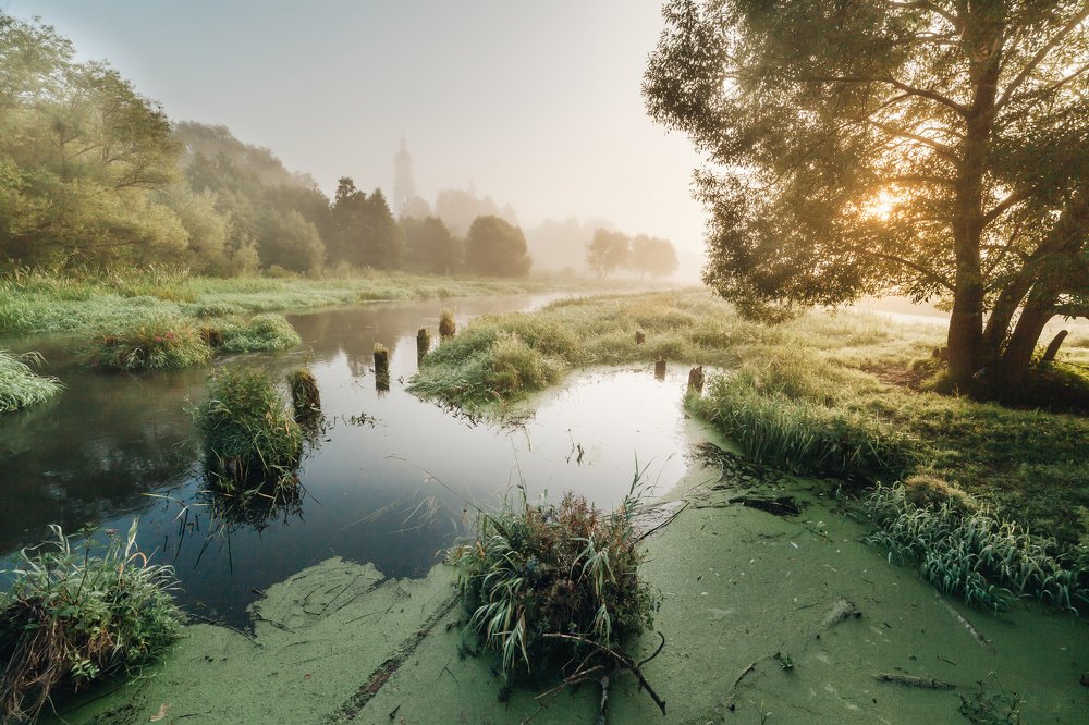 Утро в Филипповском