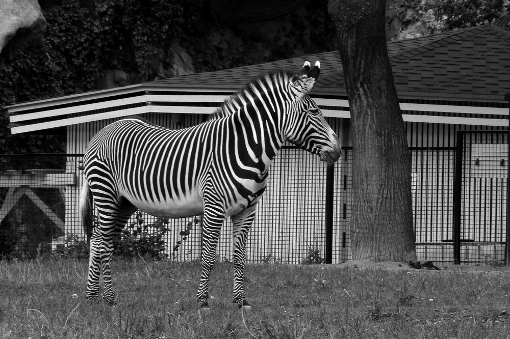Фотография автора Геннадий Титов