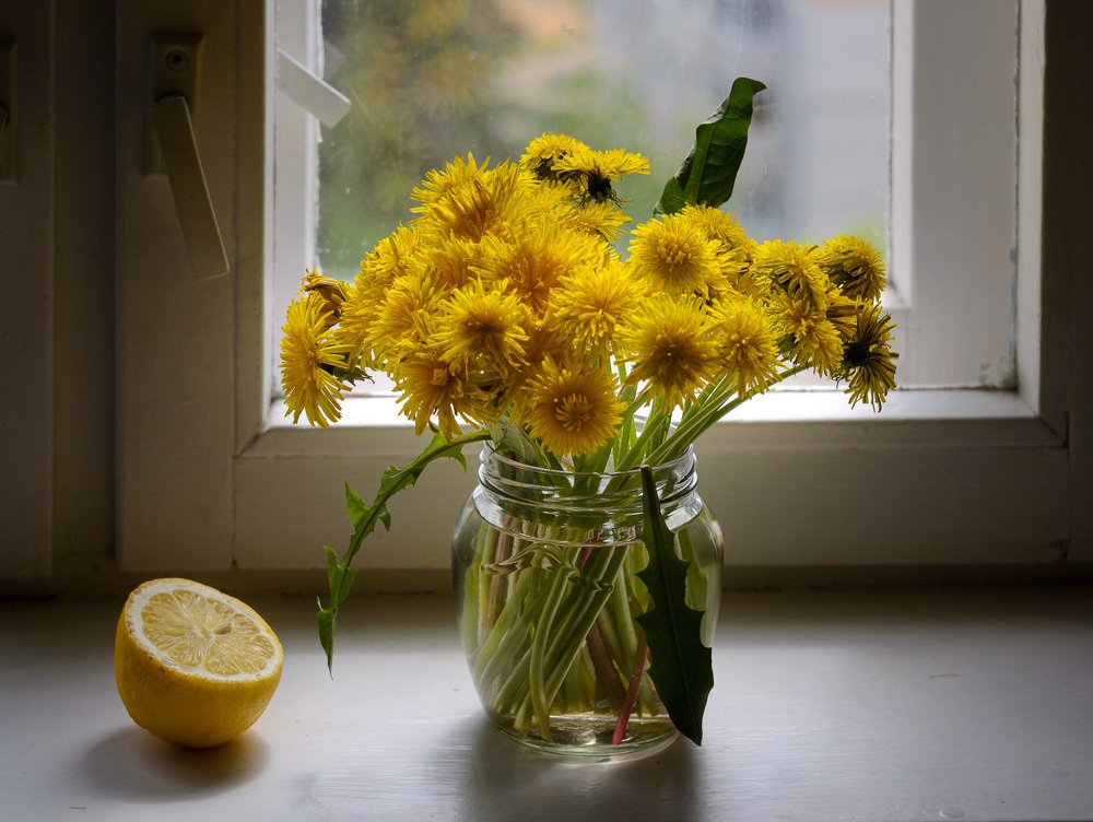 Photograph by Олег Черных