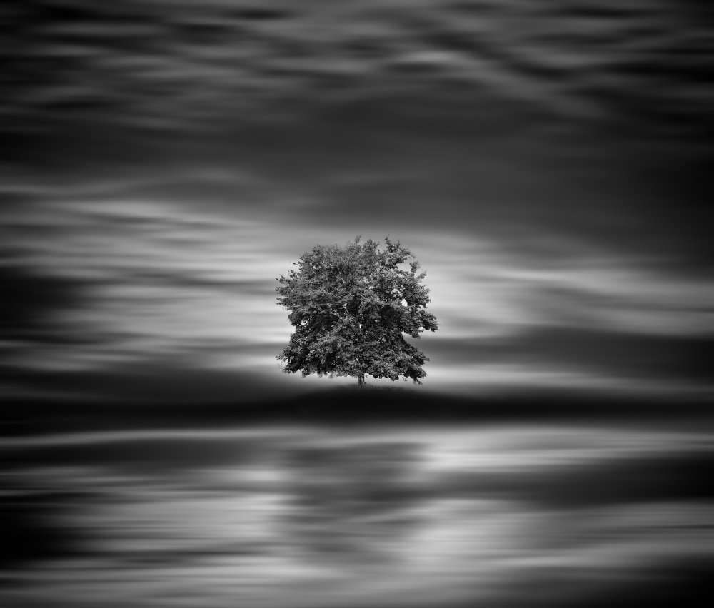 Photograph by rami yazagi