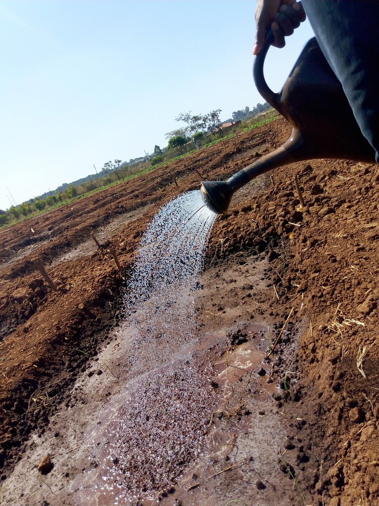 Photograph by Fredi Escova