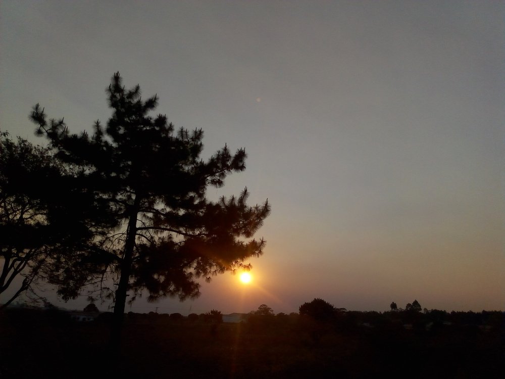 Photograph by Fredi Escova