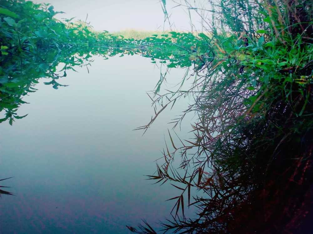 Photograph by Fredi Escova