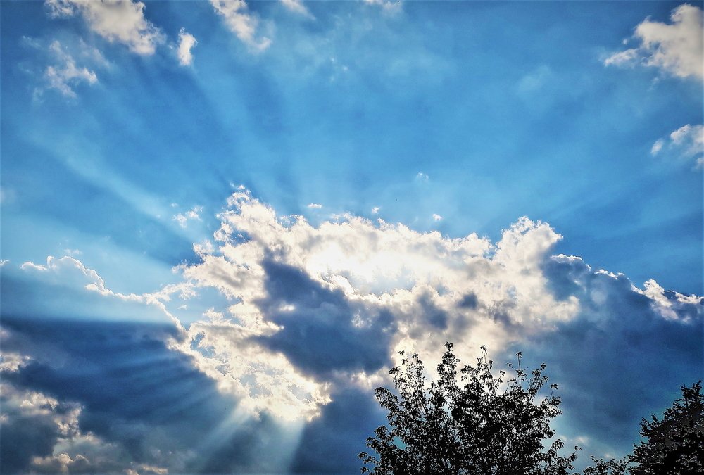 Photograph by Анатолий Плужников