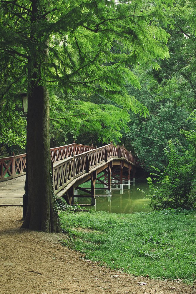 Photograph by Светлана Ветрова