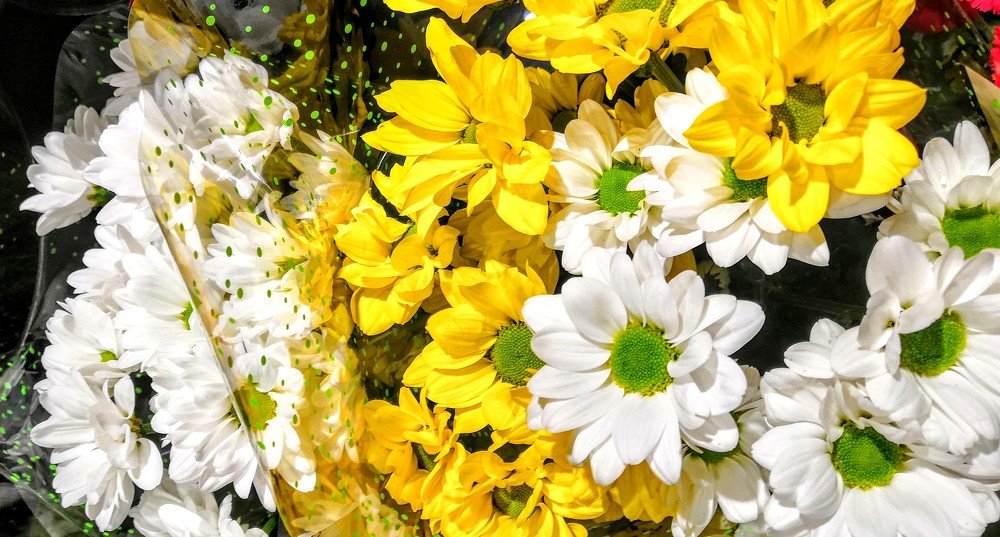 Photograph by Анатолий Плужников