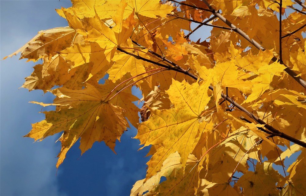 Photograph by Анатолий Плужников