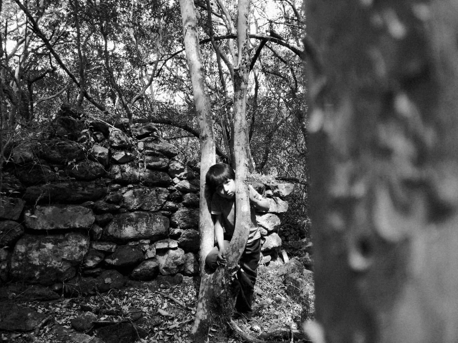 Photo #3635243
