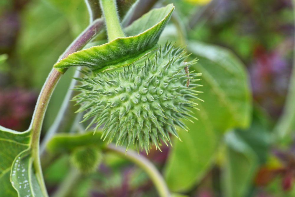 Photograph by Вячеслав Камышев