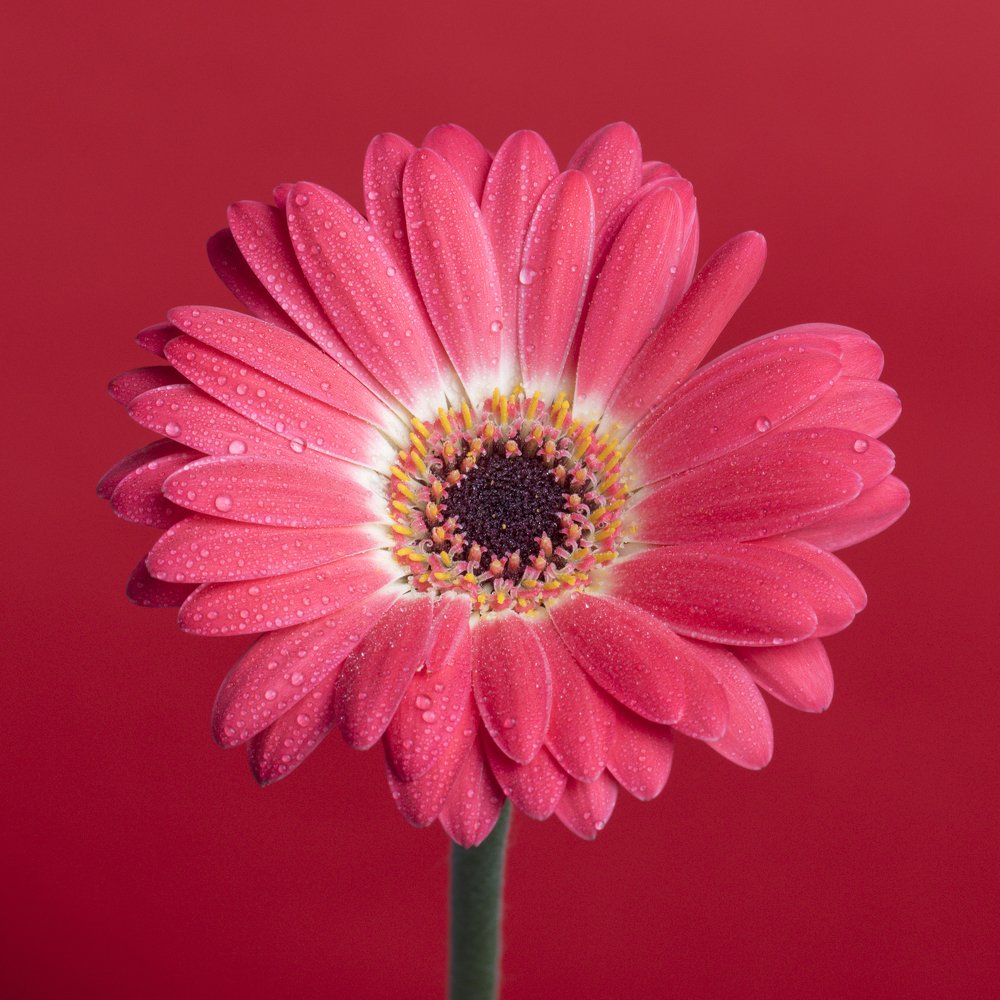 Фотография автора Mariusz Wróblewski