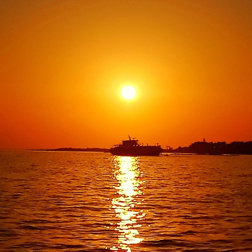 Photograph by Ольга