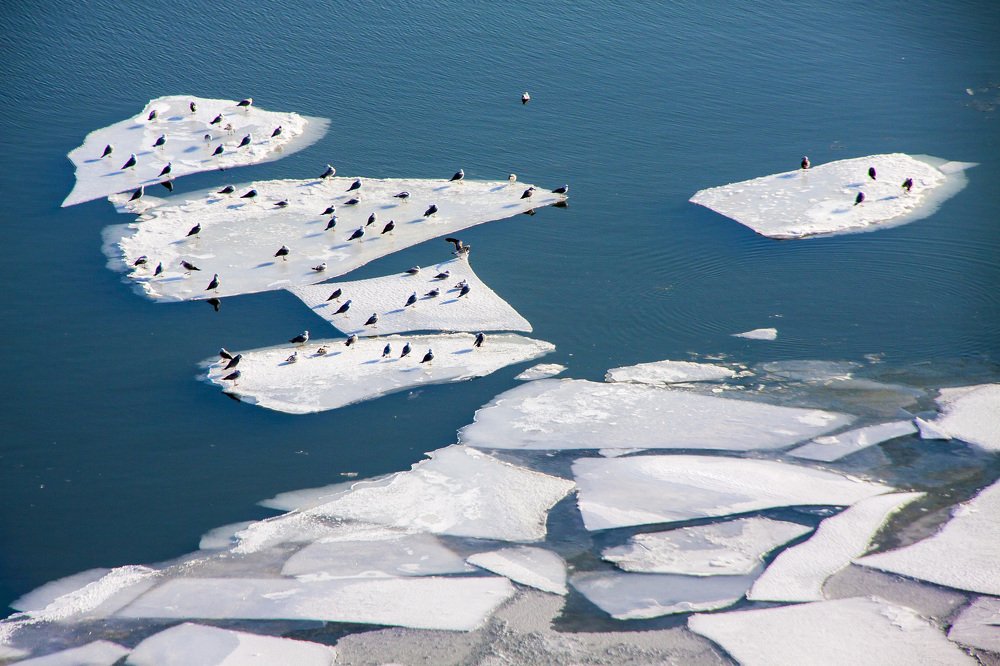 Photograph by Chia Hasankhali