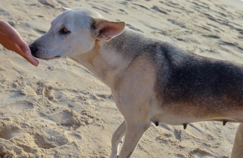 Photograph by Катя