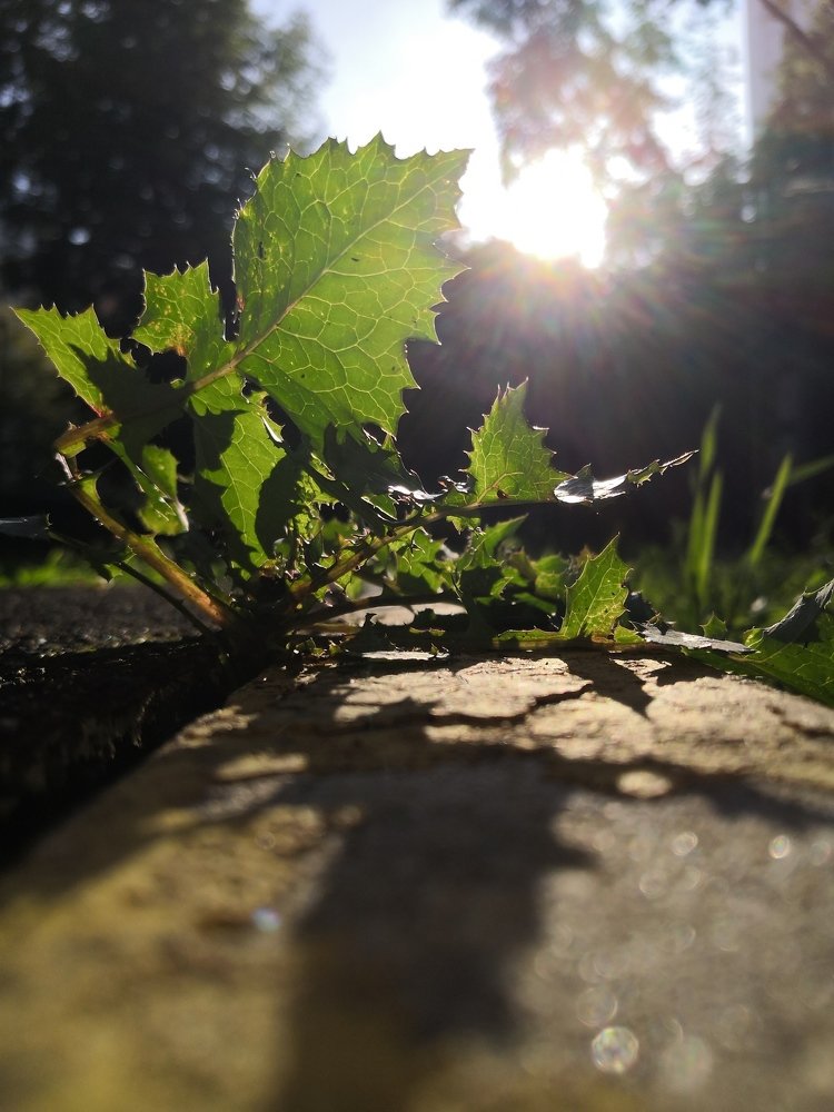 Photograph by Юлия Колоскова