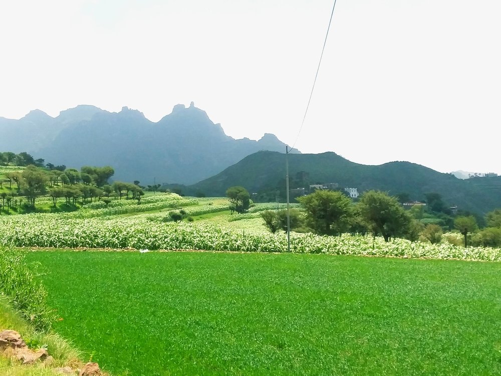 Photograph by BASSAM ALI ALBAADANI