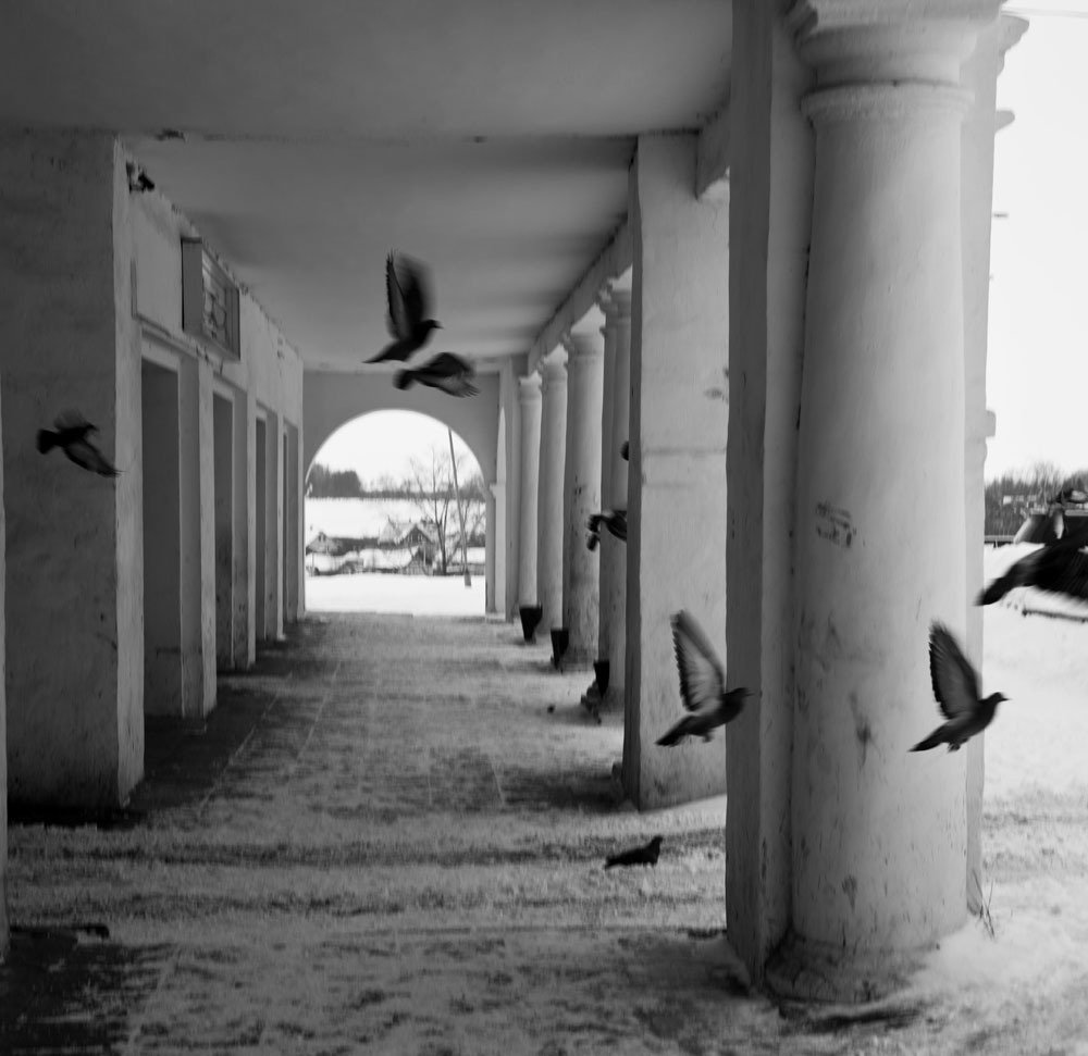 Photograph by Андрей Бойко