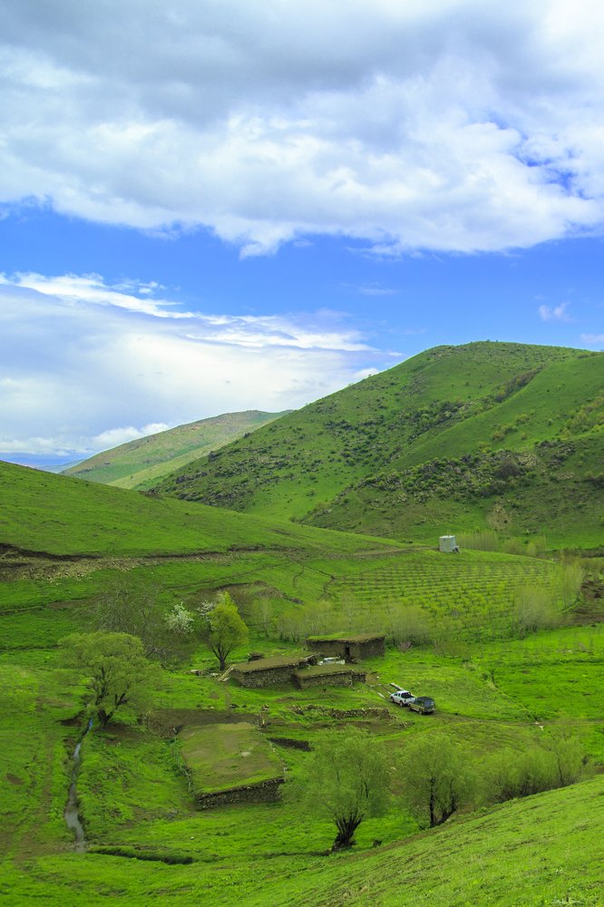 Photograph by Chia Hasankhali