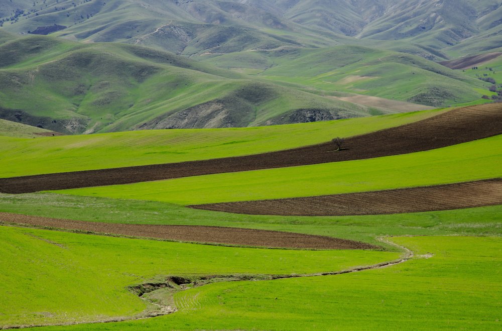 Photograph by Chia Hasankhali