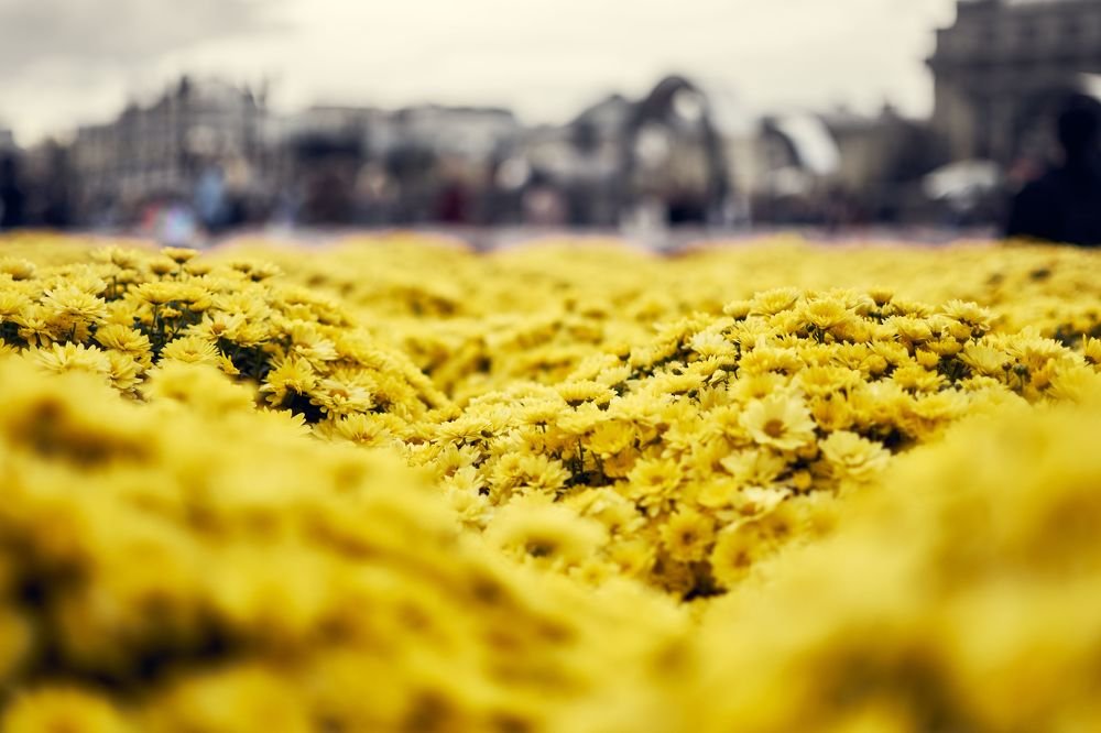 Photograph by Сергей Ветошкин